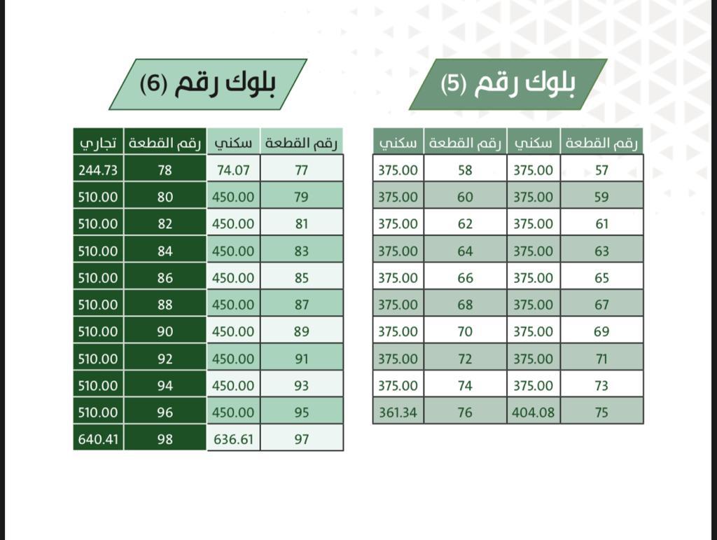 مخطط الأيوبي – ( ٢ )